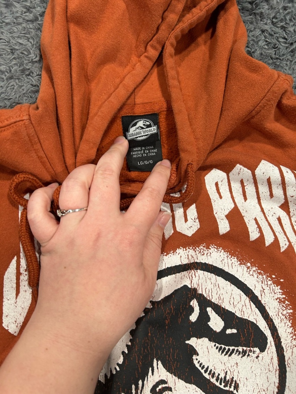 Jurassic World Rust Orange Graphic Hoodie